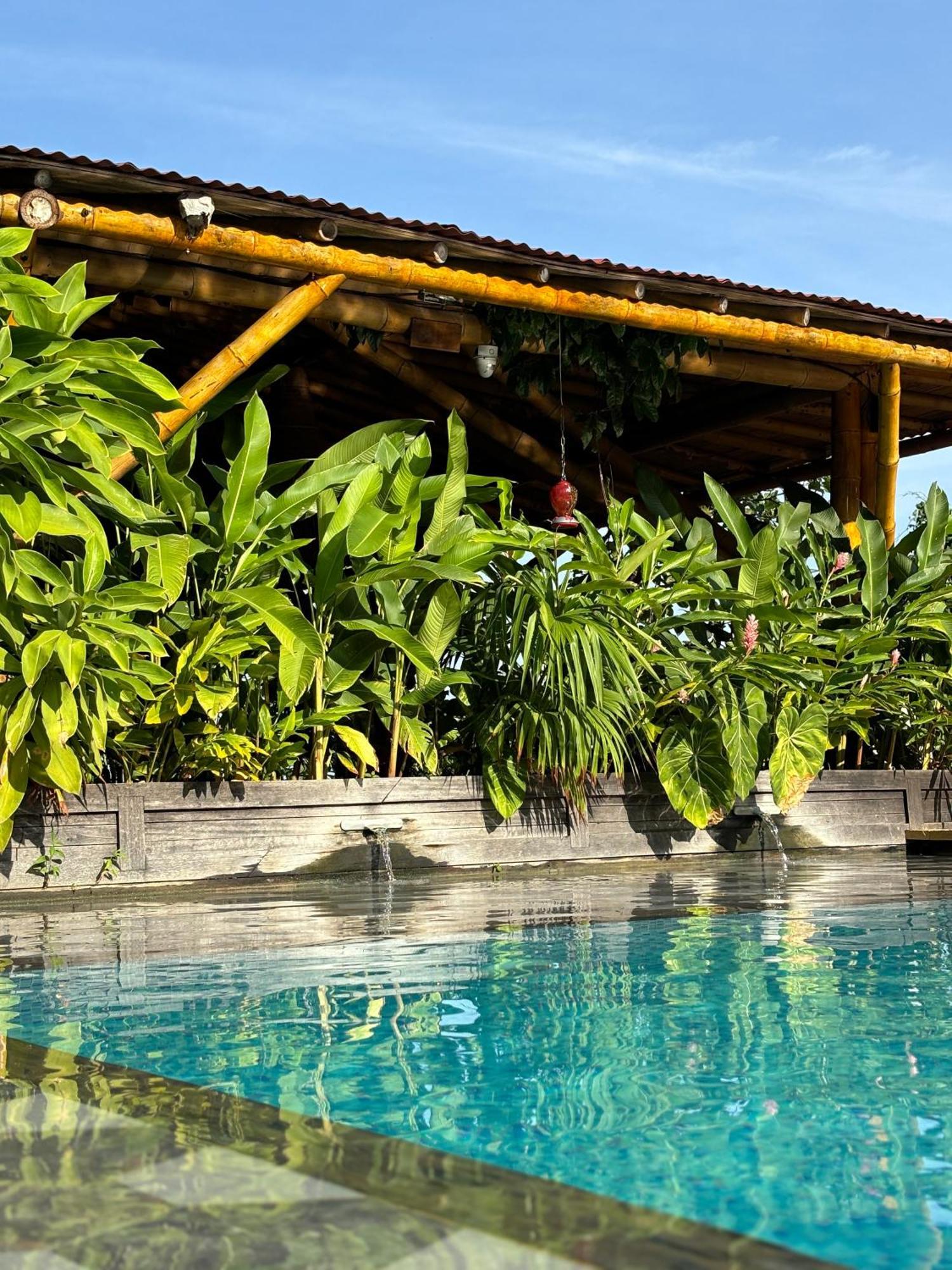 La Veranda Hotel & Restaurant Minca Exteriér fotografie